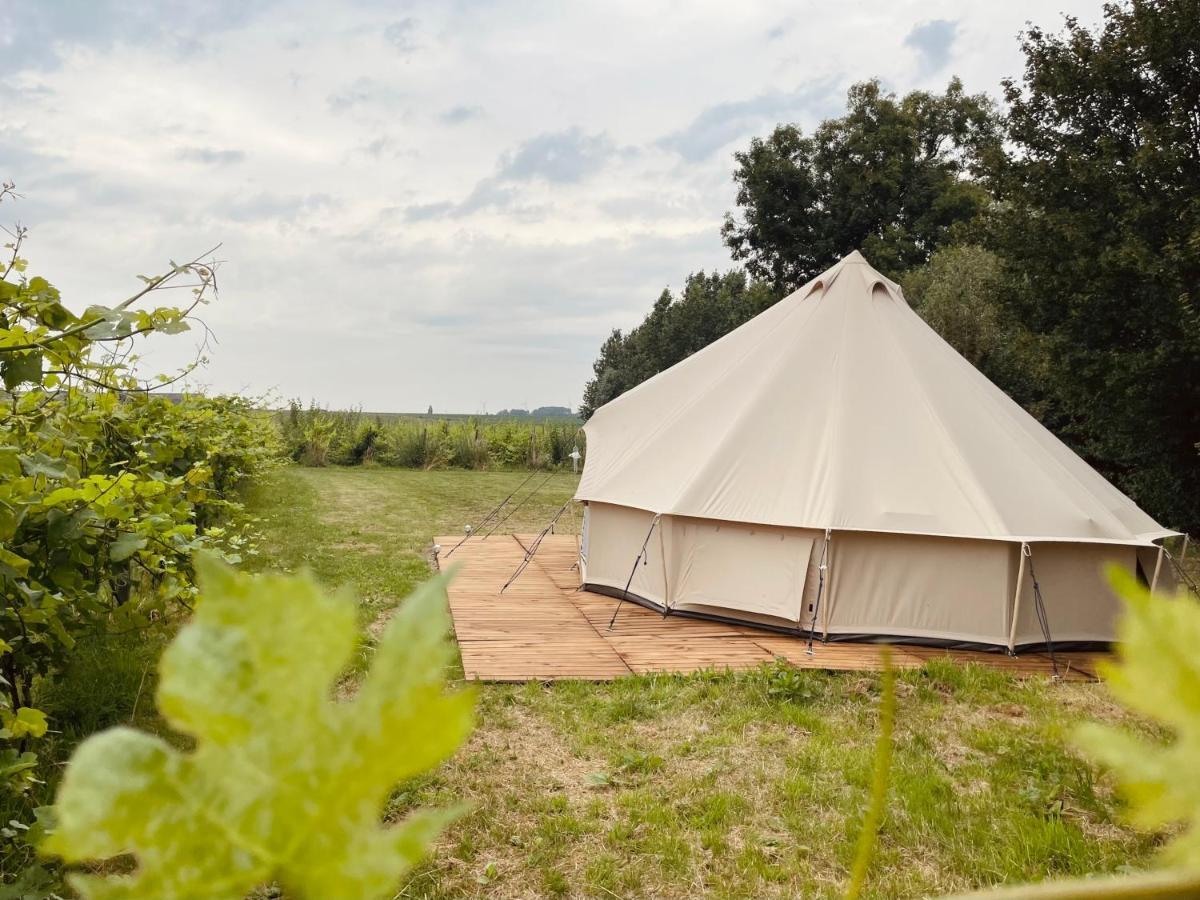 B&B 'T Zwaluwnest Heuvelland Esterno foto